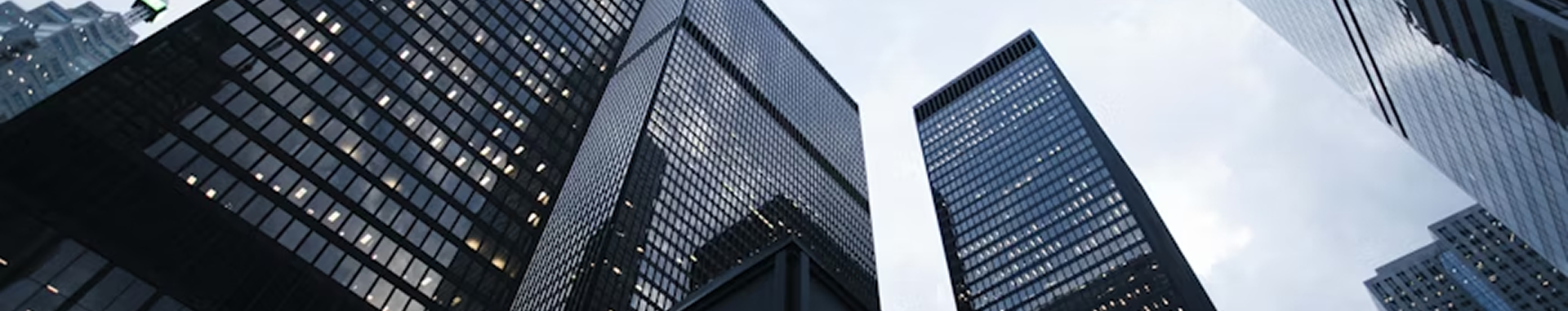 Organization Banner